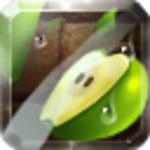 fruit slice android application logo